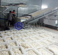 麻山藥烘干案例 麻山藥烘干案例